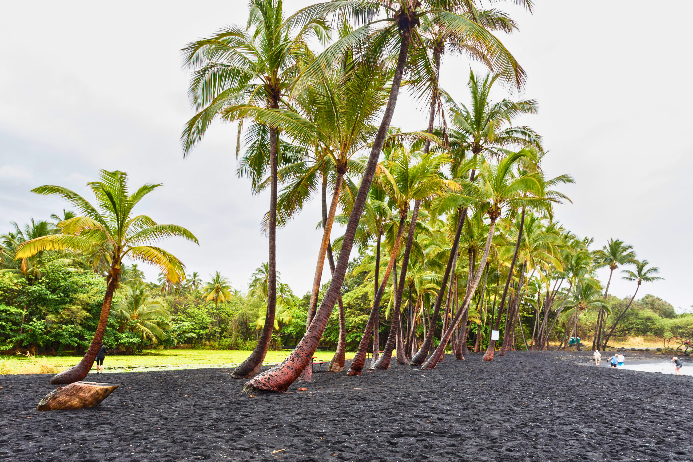 punalu'u black sands beach park, hawaii (2).webp